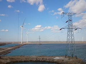 龍源電力南非德阿風電項目順利通過COD驗收